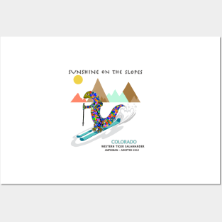 Sunshine on the slopes, Colorado, Skiing, Salamander Posters and Art